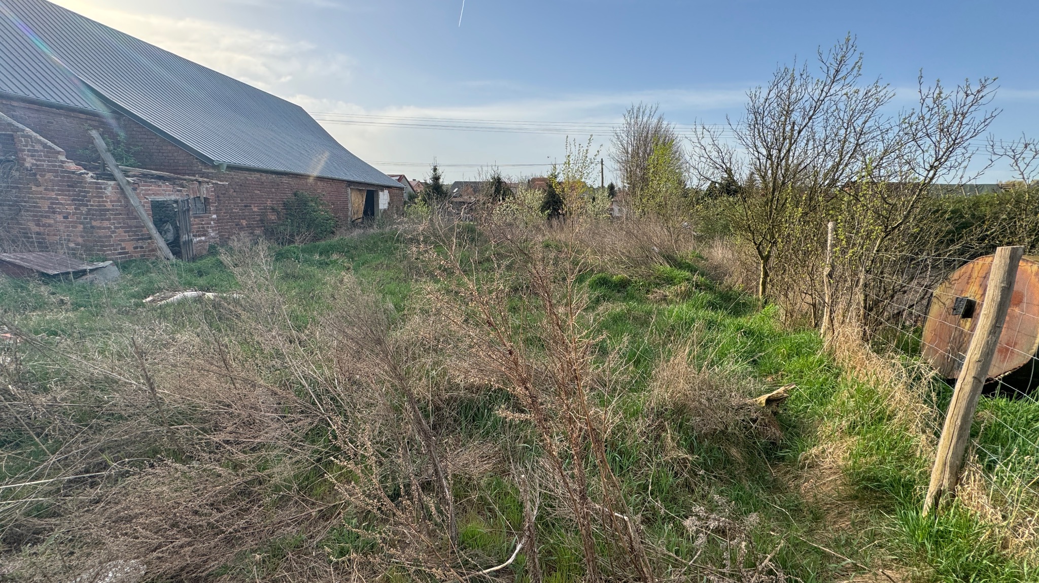 Czyszczenie działki