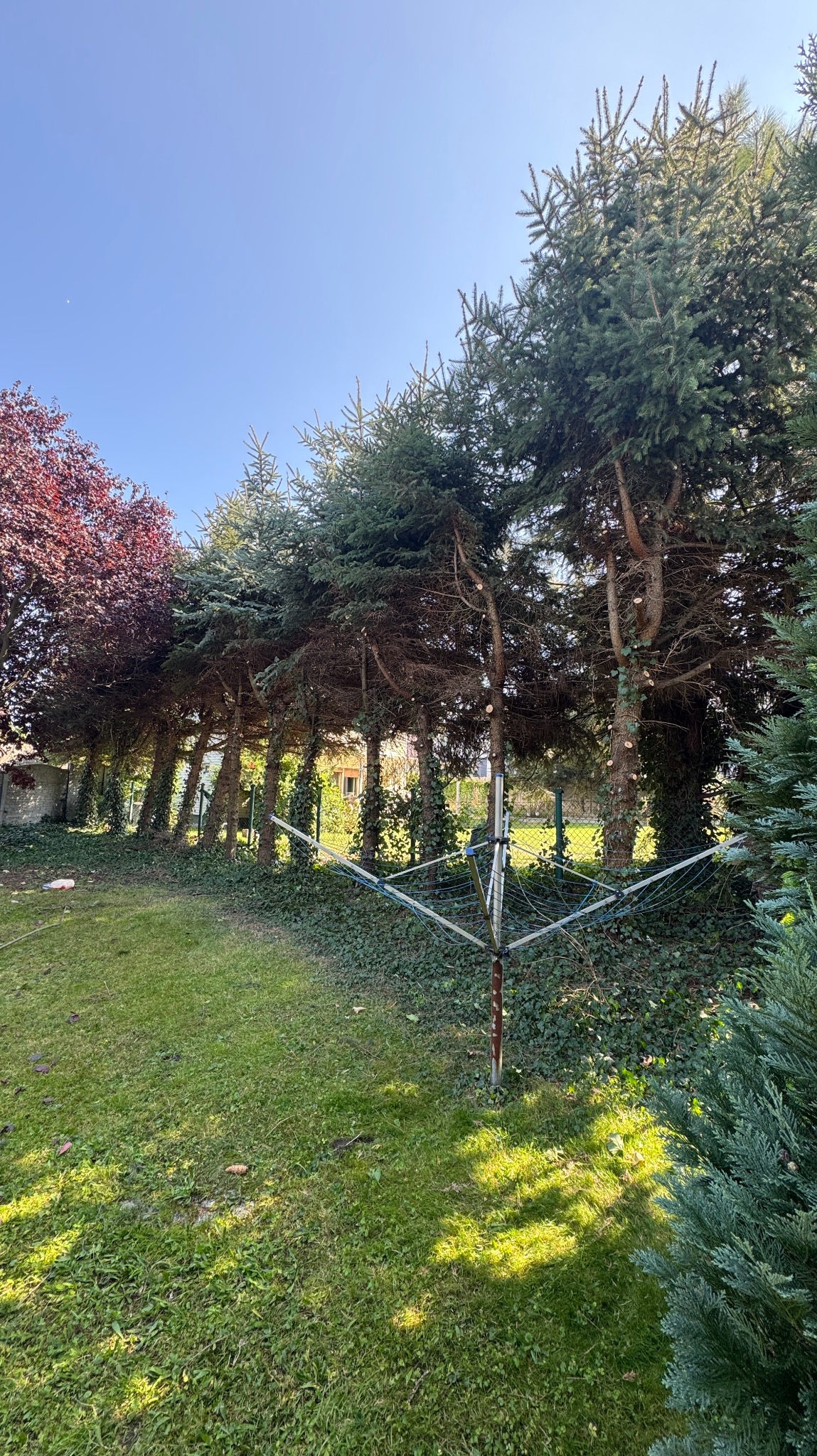 Przycinanie Gałęzi