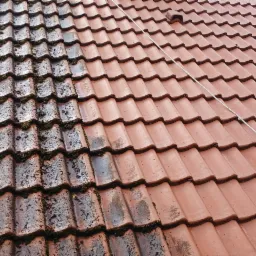 Częściowo wyczyszczony dach z czerwonej dachówki, widoczny mech i zabrudzenia. Połowa dachu umyta, prezentuje różnicę w wyglądzie.