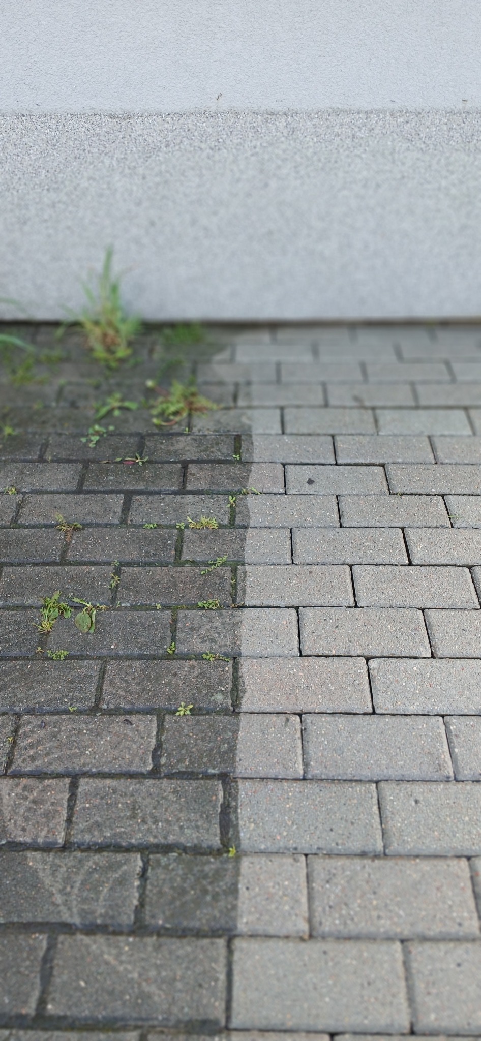 Efekt mycia kostki brukowej: po lewej stronie widoczna czysta, szara kostka, po prawej brudna, porośnięta mchem. Górna część zdjęcia przedstawia fragment ściany.