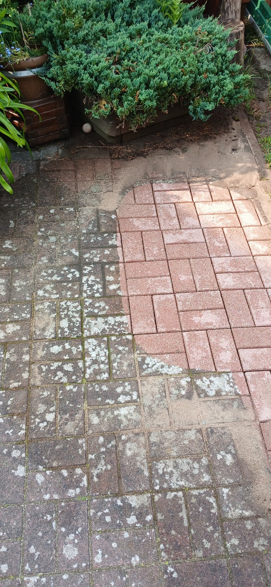 Częściowo umyta, czerwona kostka brukowa z widocznymi zabrudzeniami i mchem, zieleń w tle. Kontrast czystości po lewej i zabrudzeń po prawej stronie.