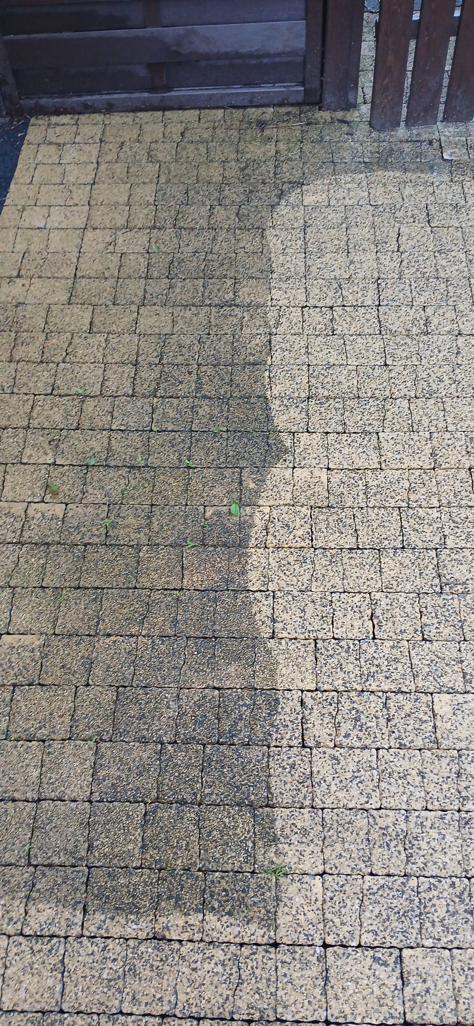 Częściowo umyta, beżowa kostka brukowa z porostem, ukazująca różnicę w czystości. Widoczna brama z ciemnego drewna w tle. Ujęcie z góry.