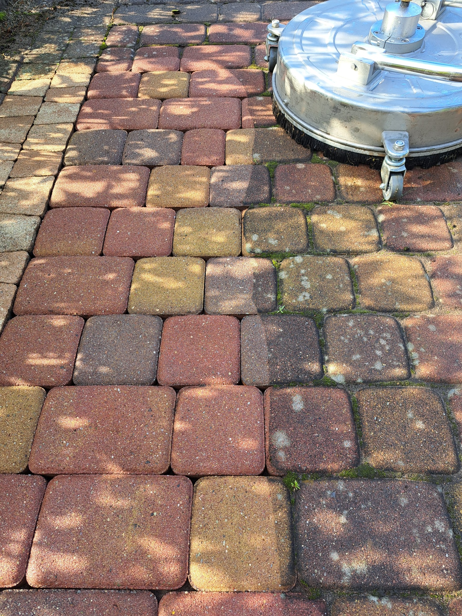 Częściowo umyta kostka brukowa z zielonymi porostami, z widocznym urządzeniem do czyszczenia ciśnieniowego. Widoczny efekt czyszczenia.