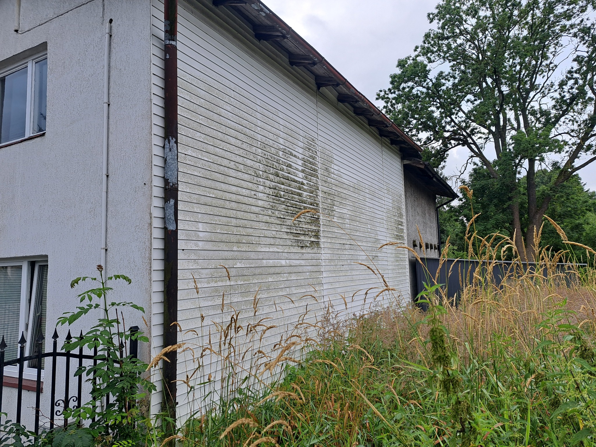 Boczny widok na zabrudzoną, białą elewację budynku z drewnianym sidingiem. Widoczne zacieki i porosty. W tle drzewa i wysoka trawa.