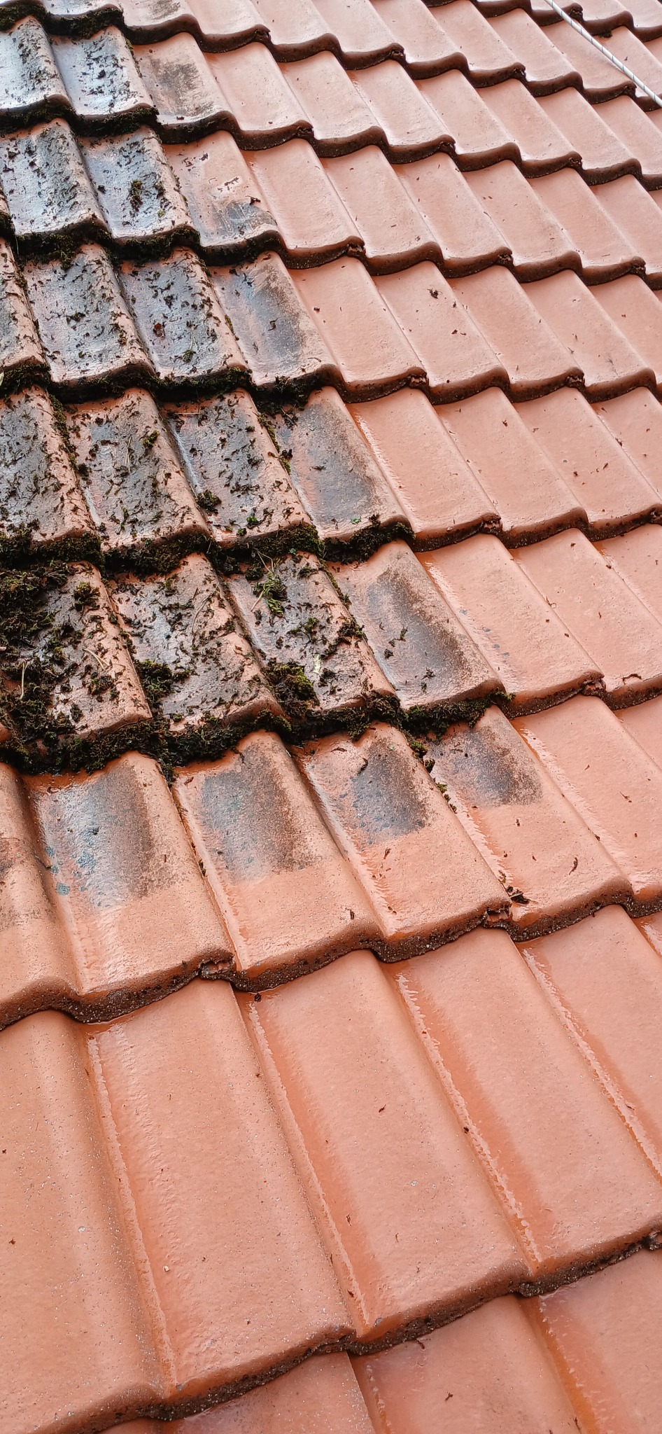 Częściowo oczyszczony dach z czerwonej dachówki, widoczny mech i zabrudzenia. Porównanie stanu przed i po czyszczeniu, ukazujące skuteczność zabiegu.