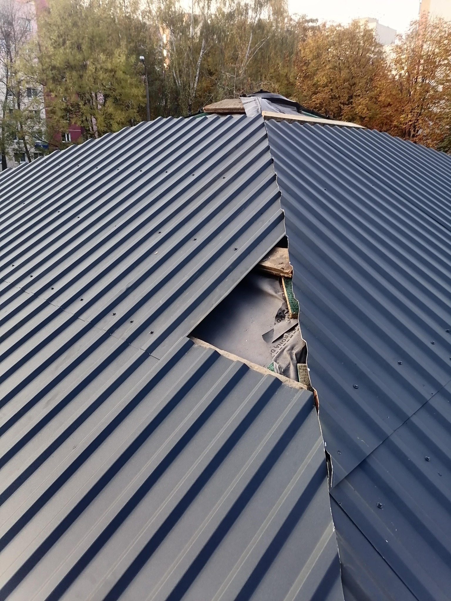 Uszkodzony blaszany dach z widoczną konstrukcją drewnianą i membraną, na tle jesiennych drzew i budynku mieszkalnego.