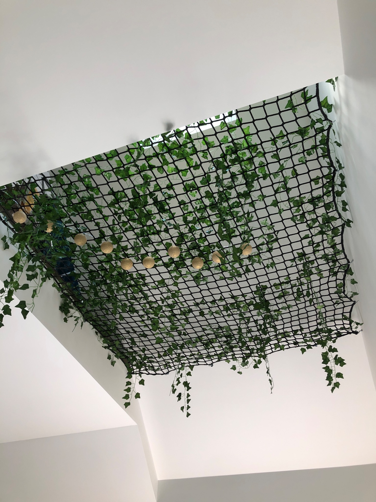 Czarna siatka dekoracyjna na suficie z przymocowanymi sztucznymi pnączami bluszczu i szeregiem złotych kulistych lamp, widok z dołu w nowoczesnym wnętrzu.