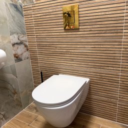 Wykonanie elewacji Mroków 1