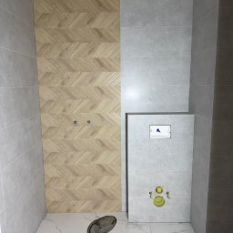 Wykonanie elewacji Mroków 4