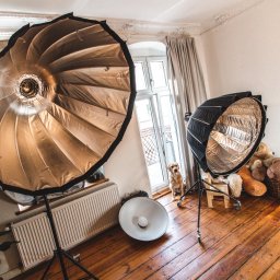 Fotografia Paweł Wojtaszek - studio fotograficzne Poznań - Dwa softboxy o różnej wielkości i kształcie oświetlają wnętrze studia fotograficznego z drewnianą podłogą, gdzie siedzi pies rasy labrador retriever obok okna.