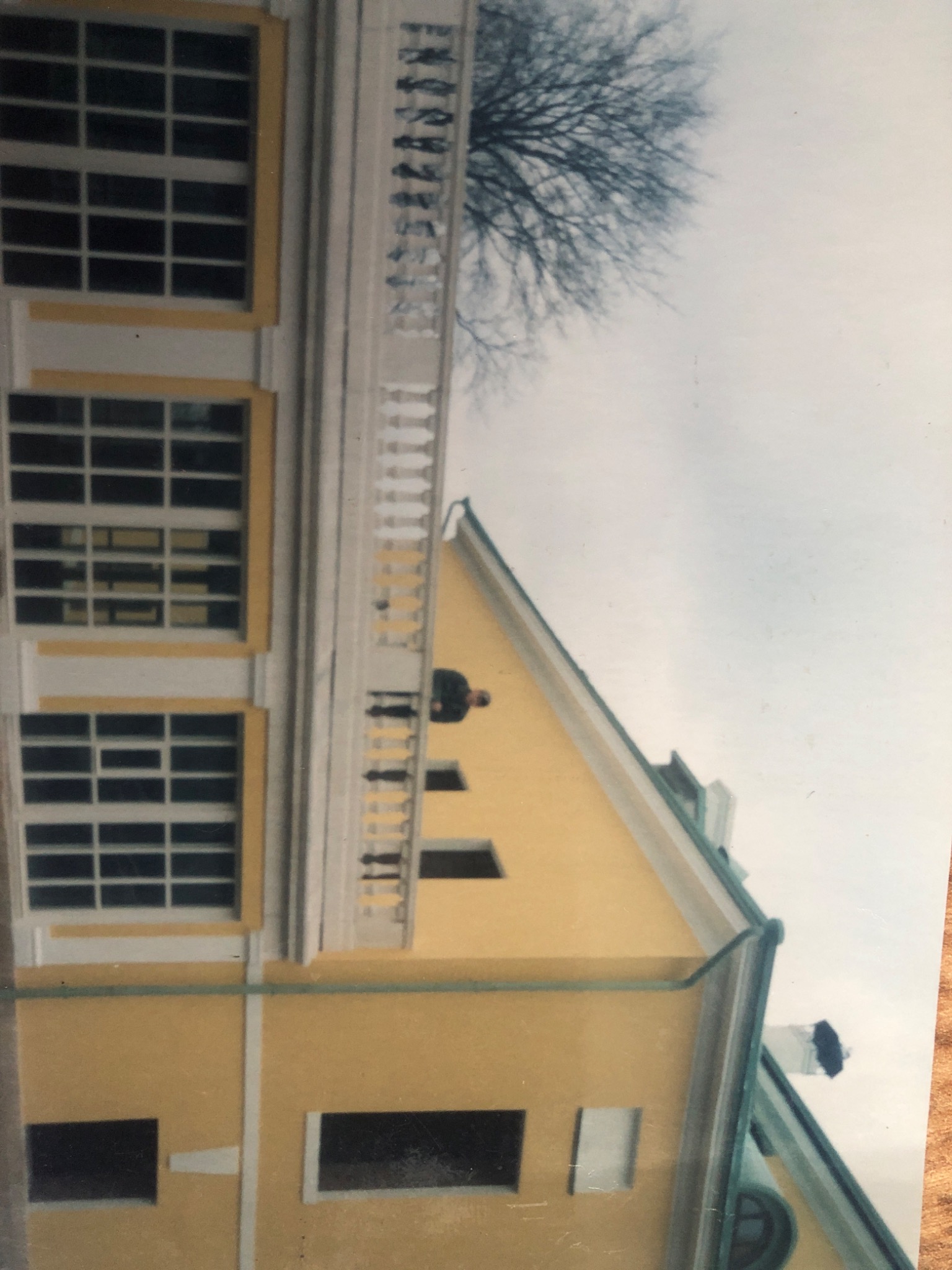 Żółta, odnowiona elewacja budynku z białymi ramami okiennymi i balustradą balkonu, widoczny fragment dachu i drzewo bez liści na tle pochmurnego nieba, ujęcie z dołu.