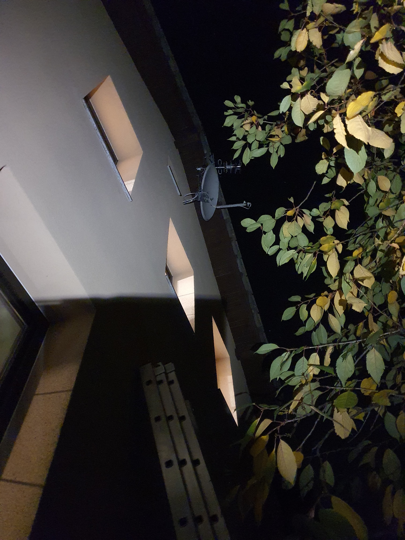 Antena satelitarna zamontowana na elewacji budynku w nocy, obok widoczne drzewo z zielono-żółtymi liśćmi i drabina oparta o ścianę.