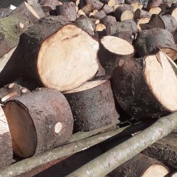 Drewno kominkowe Kamińsk 4