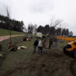 Projektowanie ogrodów Bakałarzewo 3