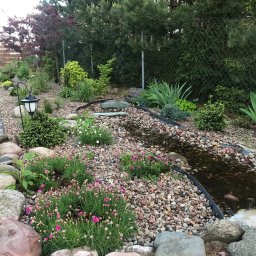 Green Home - Ogród z małym strumykiem wyłożonym kamieniami, z roślinami ozdobnymi i lampą ogrodową, widok z perspektywy ziemi.