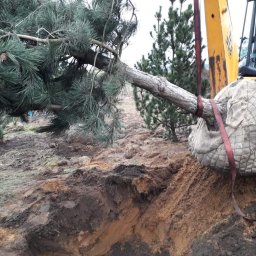 Projektowanie ogrodów Bakałarzewo 4