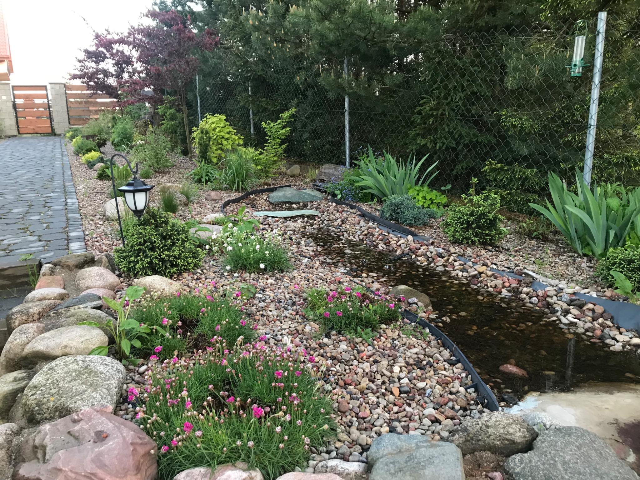 Ogród z małym strumykiem wyłożonym kamieniami, z roślinami ozdobnymi i lampą ogrodową, widok z perspektywy ziemi.