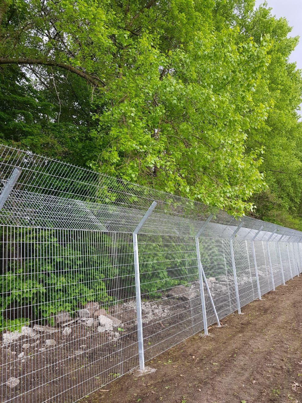 Długie, metalowe ogrodzenie z siatki, zabezpieczone ostrymi elementami na górze, biegnące wzdłuż granicy działki z bujną zielenią w tle.
