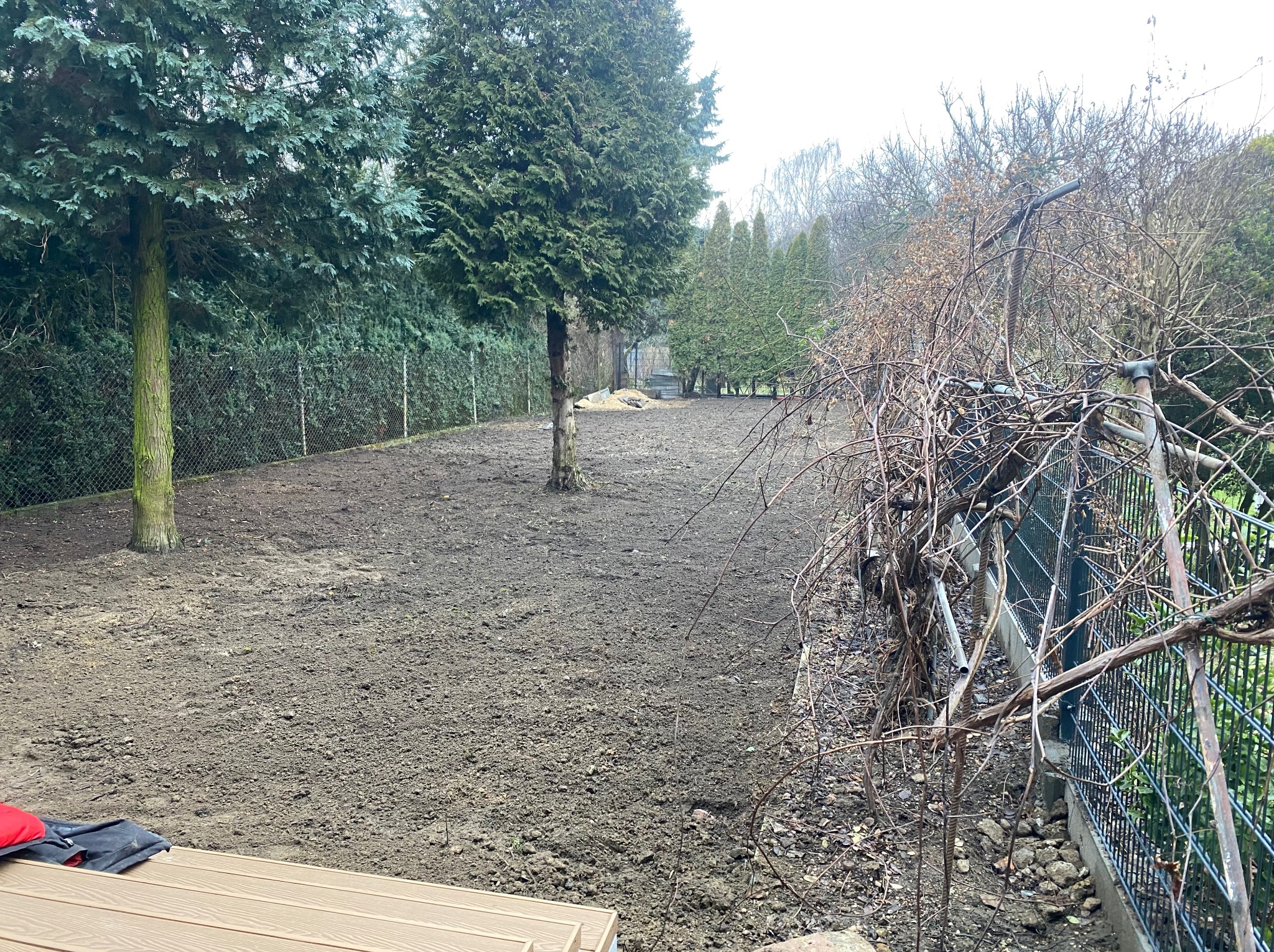 Przygotowany teren pod trawnik z widocznymi drzewami i ogrodzeniem z siatki. Ziemia wyrównana, gotowa do siewu lub ułożenia trawy z rolki. Widok z tarasu.