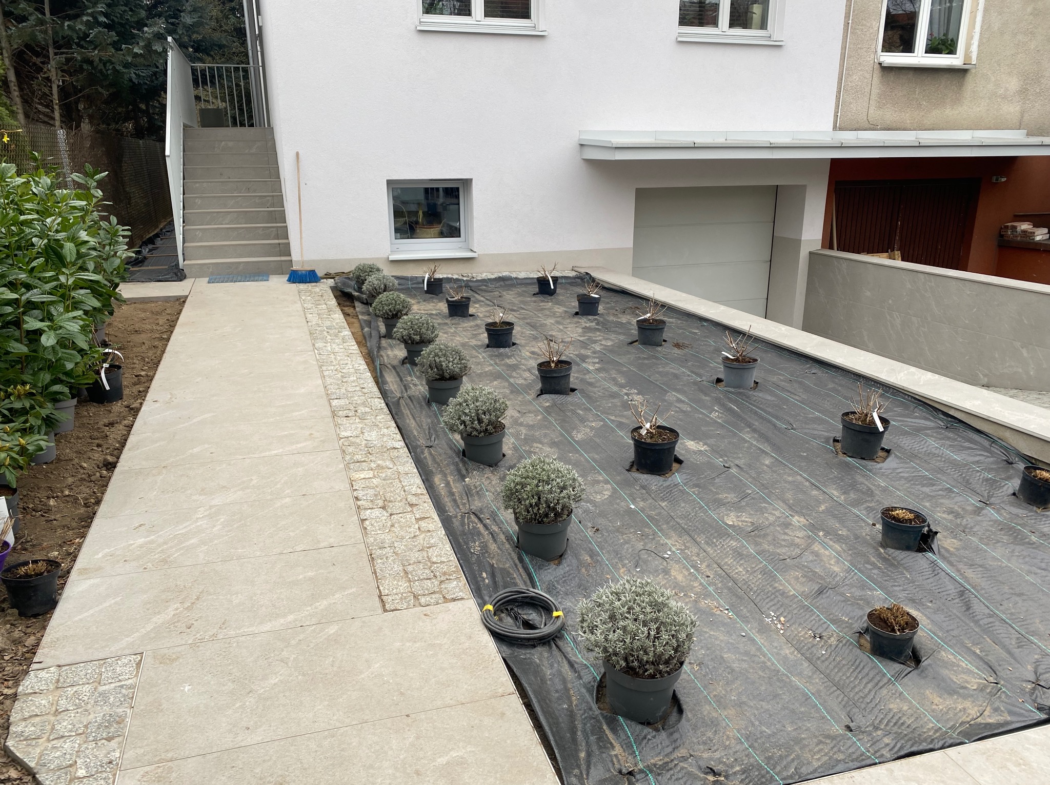 Przygotowanie terenu pod nasadzenia w ogrodzie: rozłożona agrowłóknina, donice z roślinami, wykończony chodnik z kostki. Widok na dom z garażem.