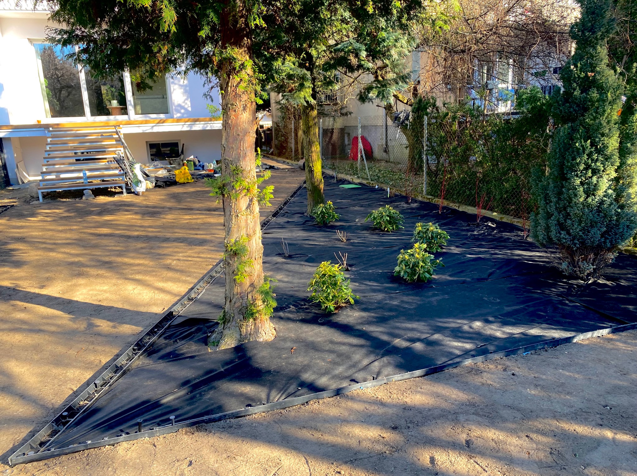 Przygotowanie terenu pod nasadzenia w Warszawie: rozłożona agrowłóknina i obrzeża rabat. Widoczne drzewa i krzewy, teren wyrównany, gotowy do dalszych prac.