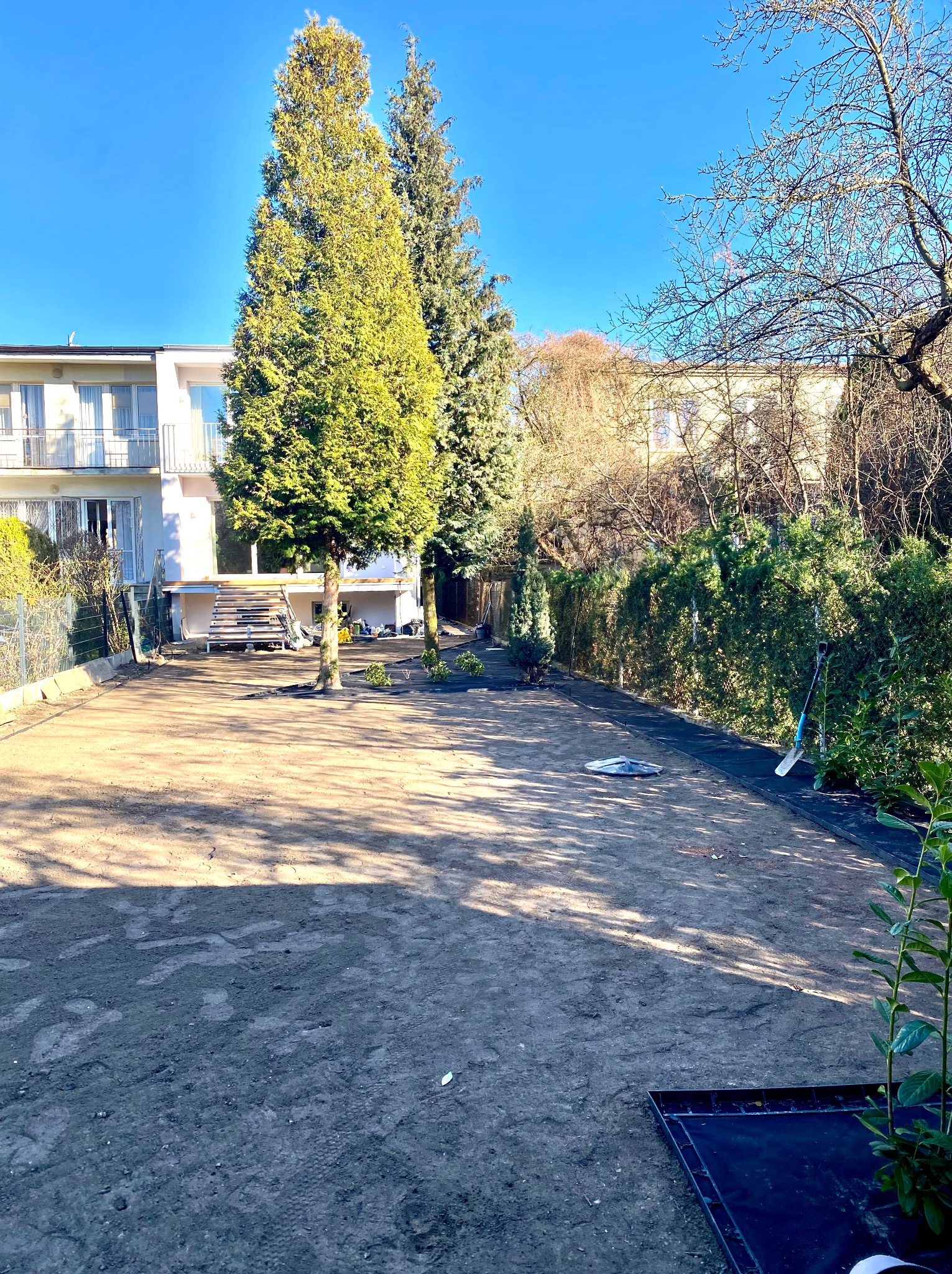 Przygotowany teren pod trawnik z widocznymi drzewami iglastymi i budynkiem w tle. Brązowa ziemia, czarna folia wzdłuż ogrodzenia. Szpadel oparty o żywopłot.