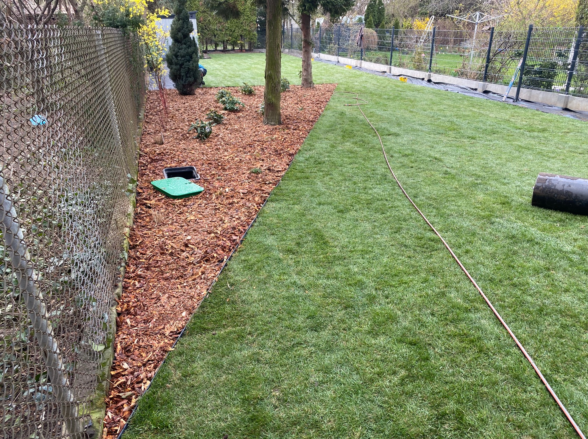 Świeżo ułożona trawa z rolki w ogrodzie, obok kory drzewnej i metalowego ogrodzenia. Widoczny fragment systemu nawadniania i rolka trawy.