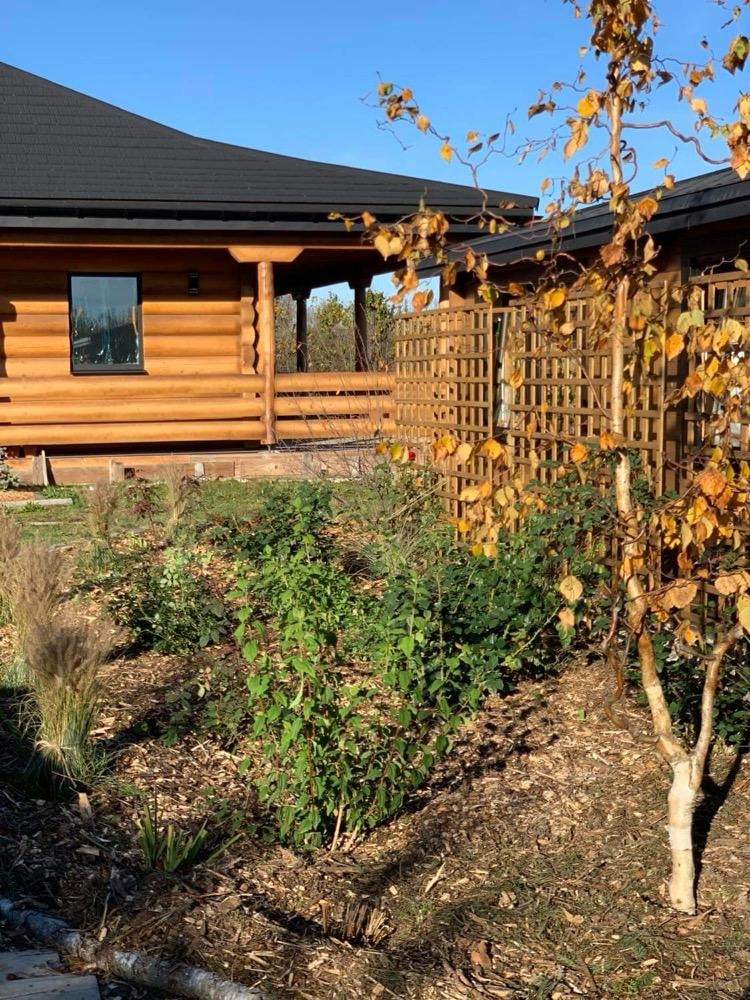 Drewniany dom z czarnym dachem i zadbanym ogrodem z młodymi drzewami i krzewami w słoneczny dzień.