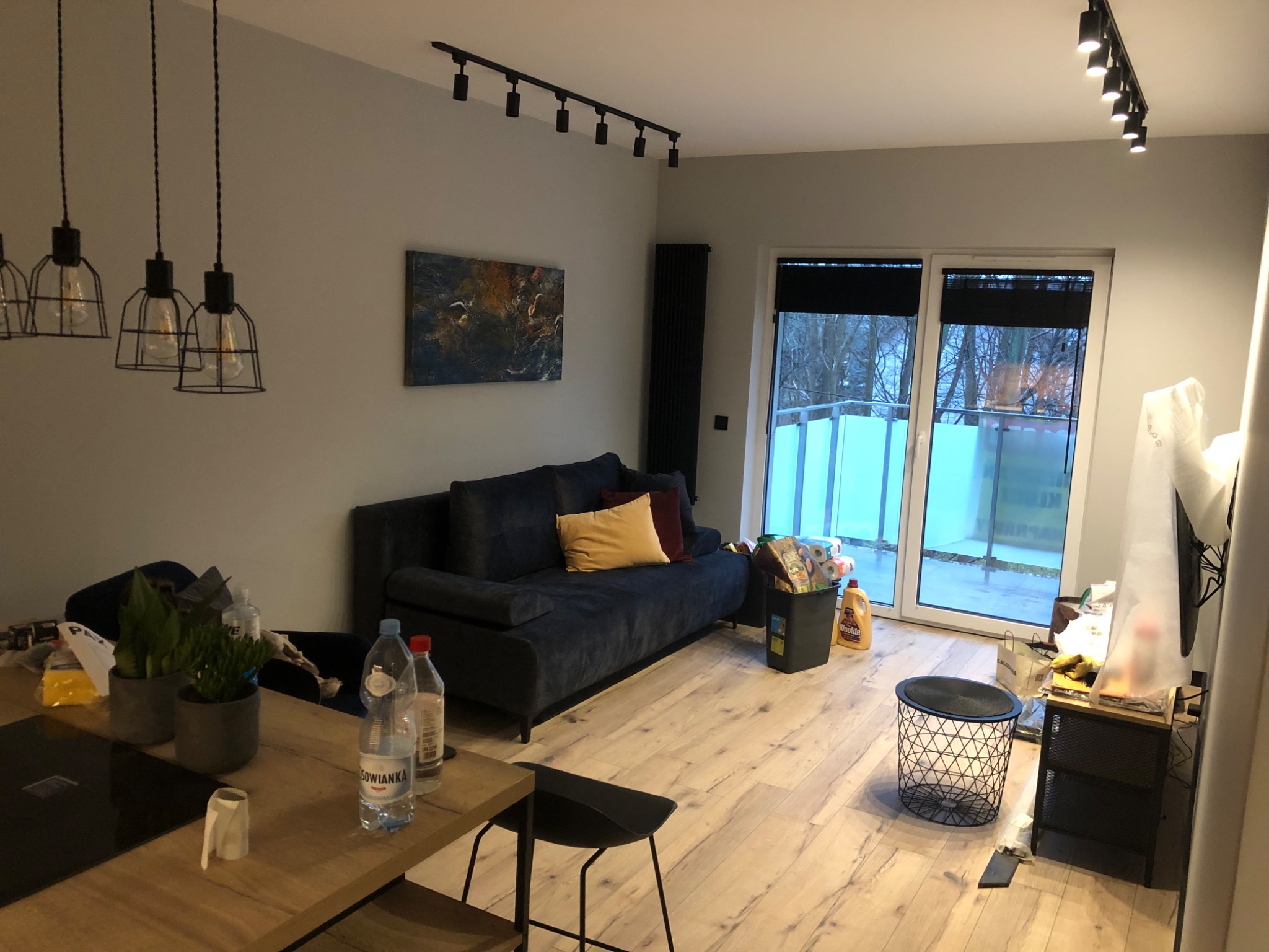 Jasne wnętrze pokoju z drewnianą podłogą, ciemną sofą z poduszkami, czarnymi lampami sufitowymi i wiszącymi lampami z żarówkami Edisona, obrazem na ścianie i wyjściem na balkon.