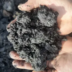 Dłonie trzymające grudki ciemnego, wilgotnego torfu o grubej strukturze.