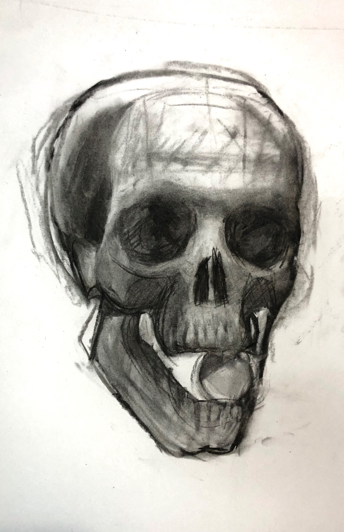 Szkic ołówkiem przedstawiający ludzką czaszkę z widocznymi liniami pomocniczymi, wykonany na białym papierze.
