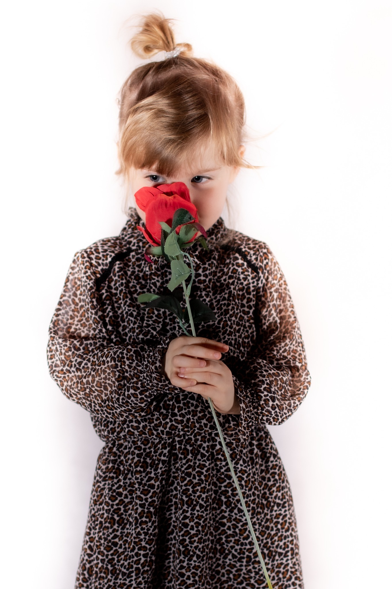 Dziewczynka w sukience w panterkę trzyma czerwoną sztuczną różę przed twarzą, widoczne tylko oczy, białe tło.