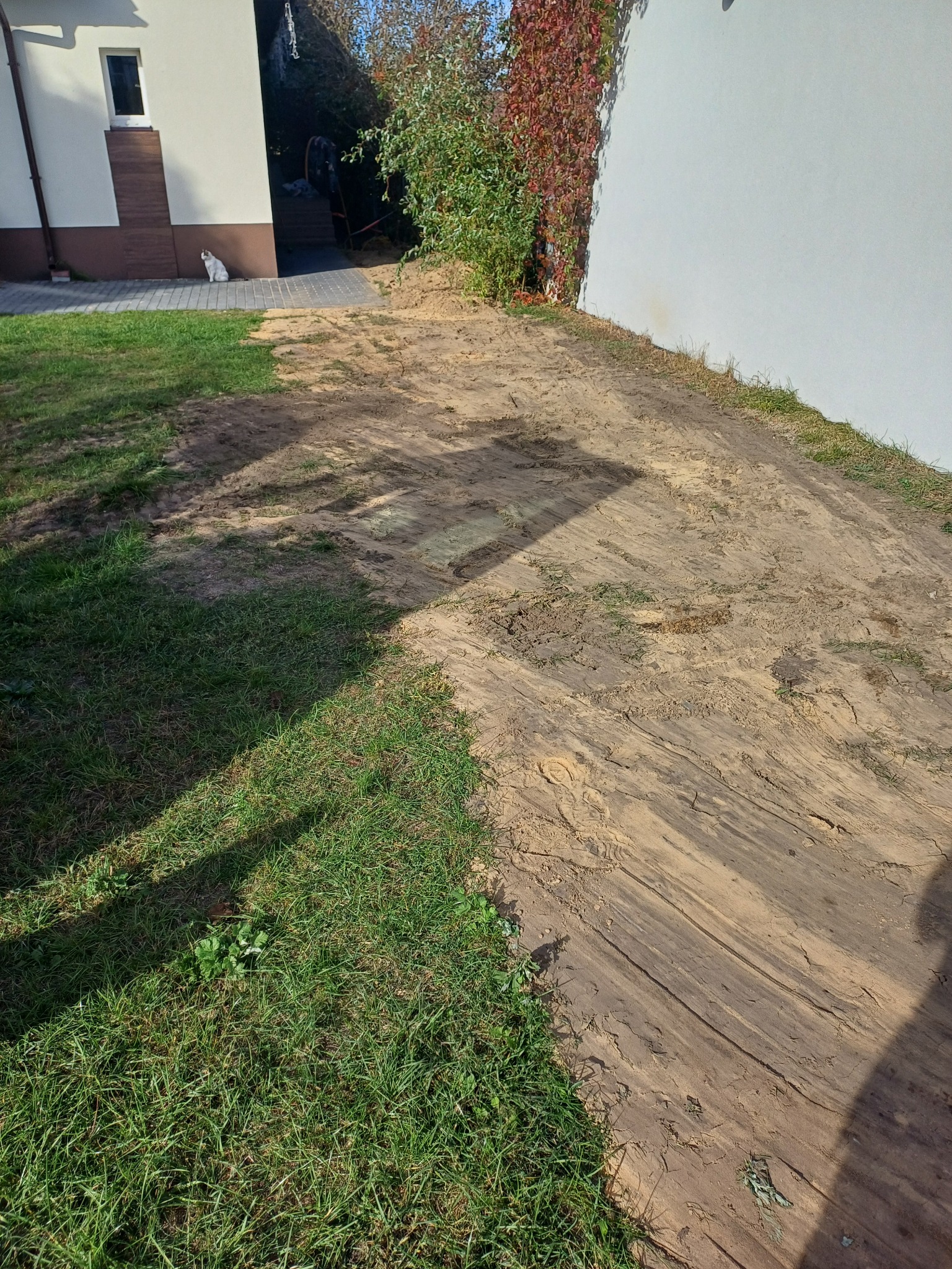 Przygotowany teren pod trawnik z widocznymi śladami po maszynach, obok budynku z siedzącym kotem i pnączami na ścianie.