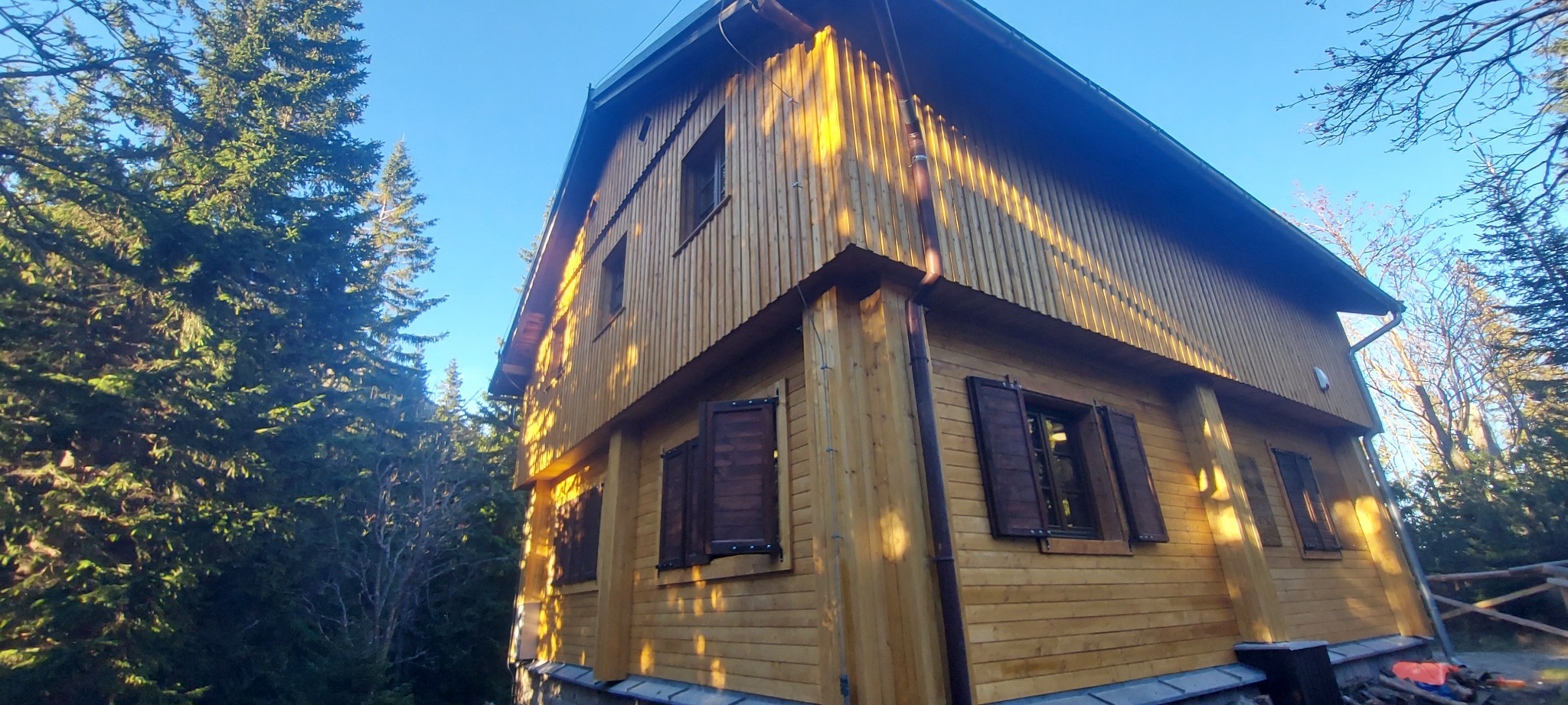 Drewniany dom z brązowymi okiennicami, otoczony zielenią drzew, w słoneczny dzień. Widoczne detale elewacji i elementy konstrukcyjne budynku. Ujęcie z dołu.