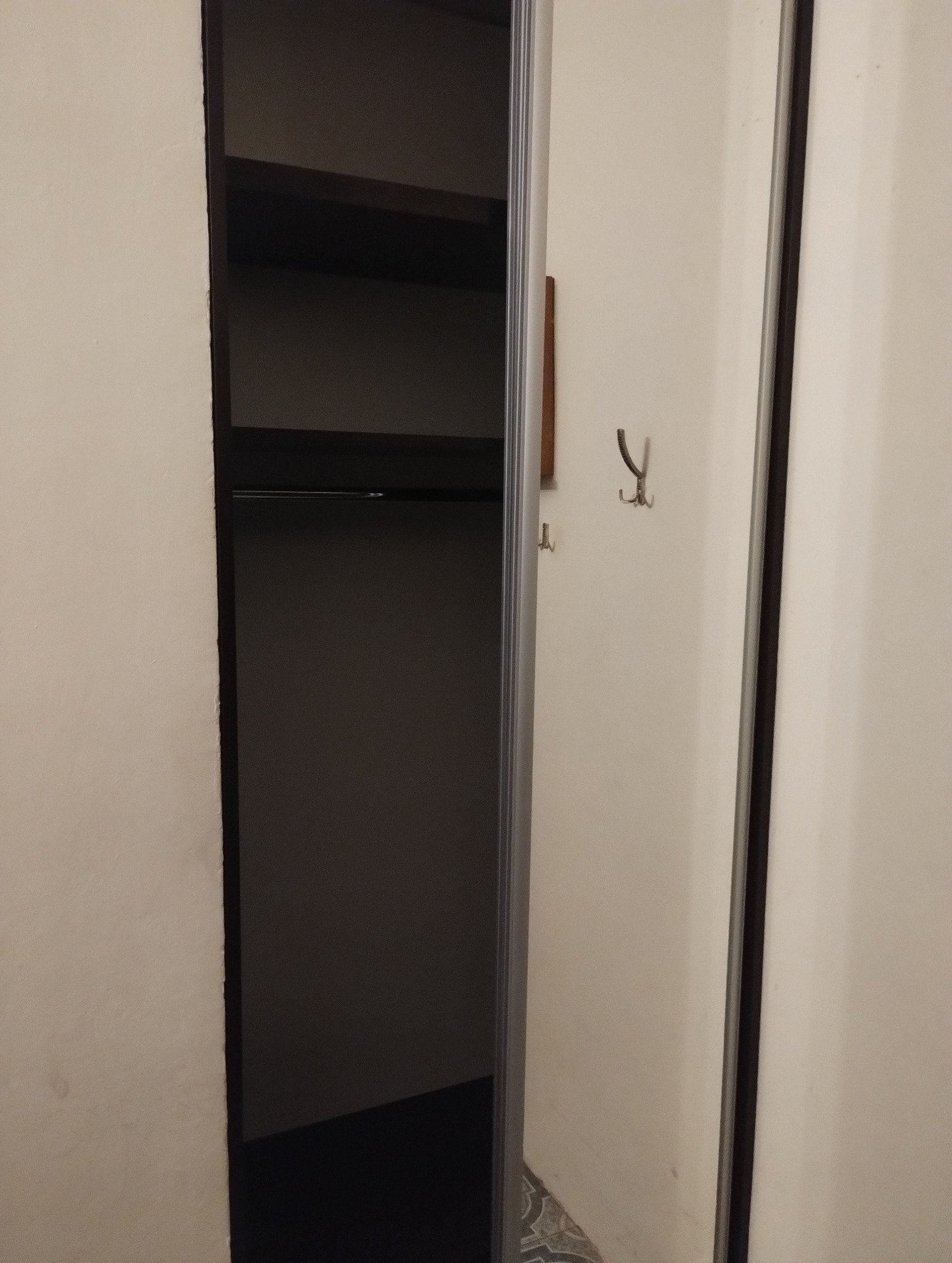 Wnętrze szafy wnękowej z półkami i drążkiem na ubrania, widoczne haczyki na ścianie obok, oświetlenie od góry