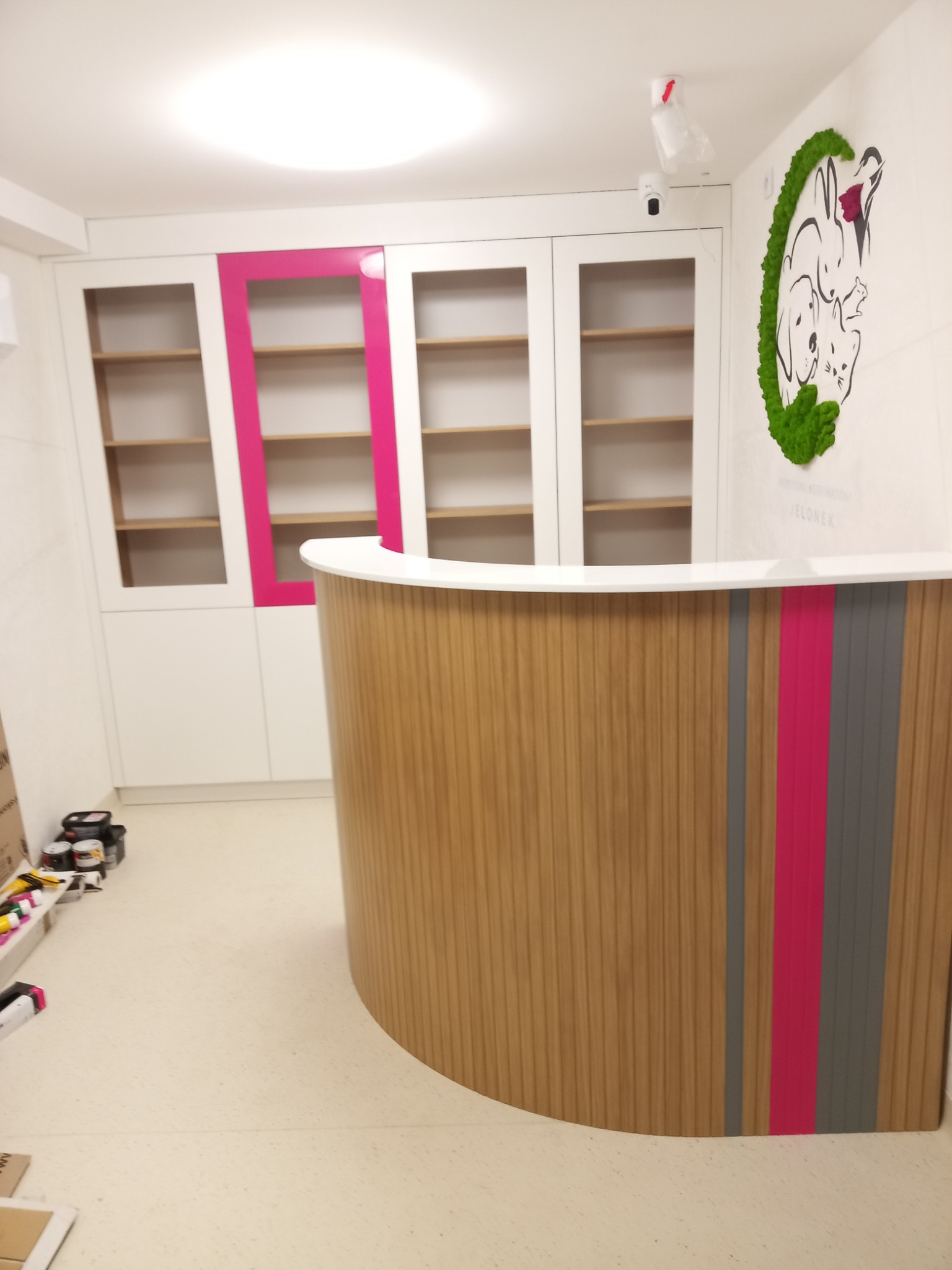 Białe szafy z przeszklonymi drzwiami i różową ramą obok lady recepcyjnej z drewnianym frontem i różowo-szarymi pasami w gabinecie weterynaryjnym.