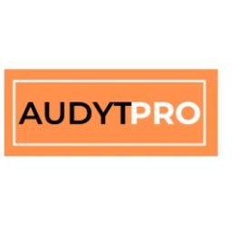 Audytpro - Biznes Plan Sklepu Internetowego Lublin