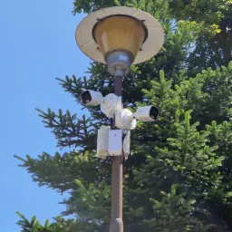 Dwie kamery monitoringu zamontowane na słupie oświetleniowym, widok z dołu na tle błękitnego nieba i drzew iglastych.