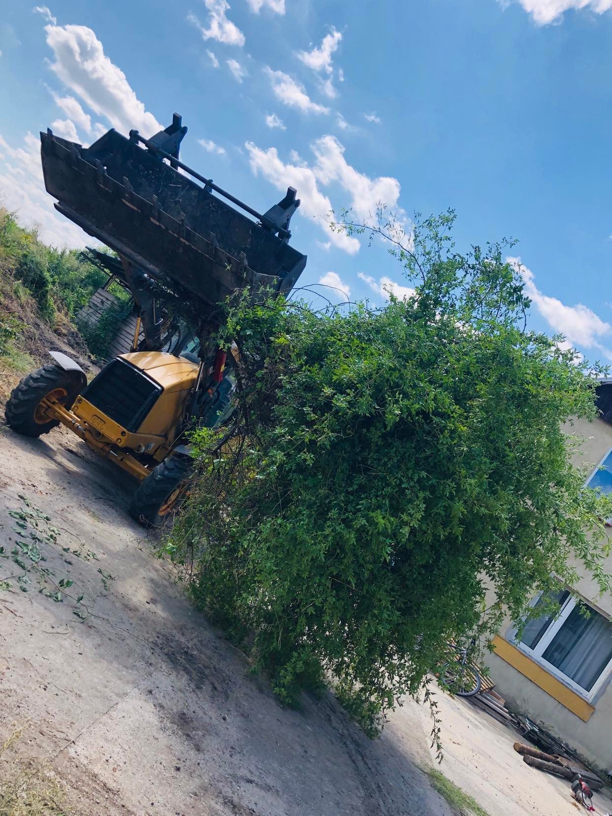 Żółta koparko-ładowarka podnosi duży krzew z ziemi, na tle błękitnego nieba z chmurami i fragmentu budynku.