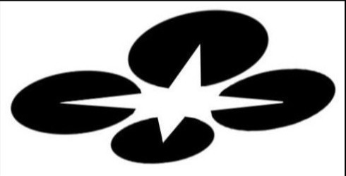 Czarno-białe logo przedstawiające abstrakcyjny symbol przypominający kwiat lub kompas z czterema owalnymi elementami i centralną gwiazdą.