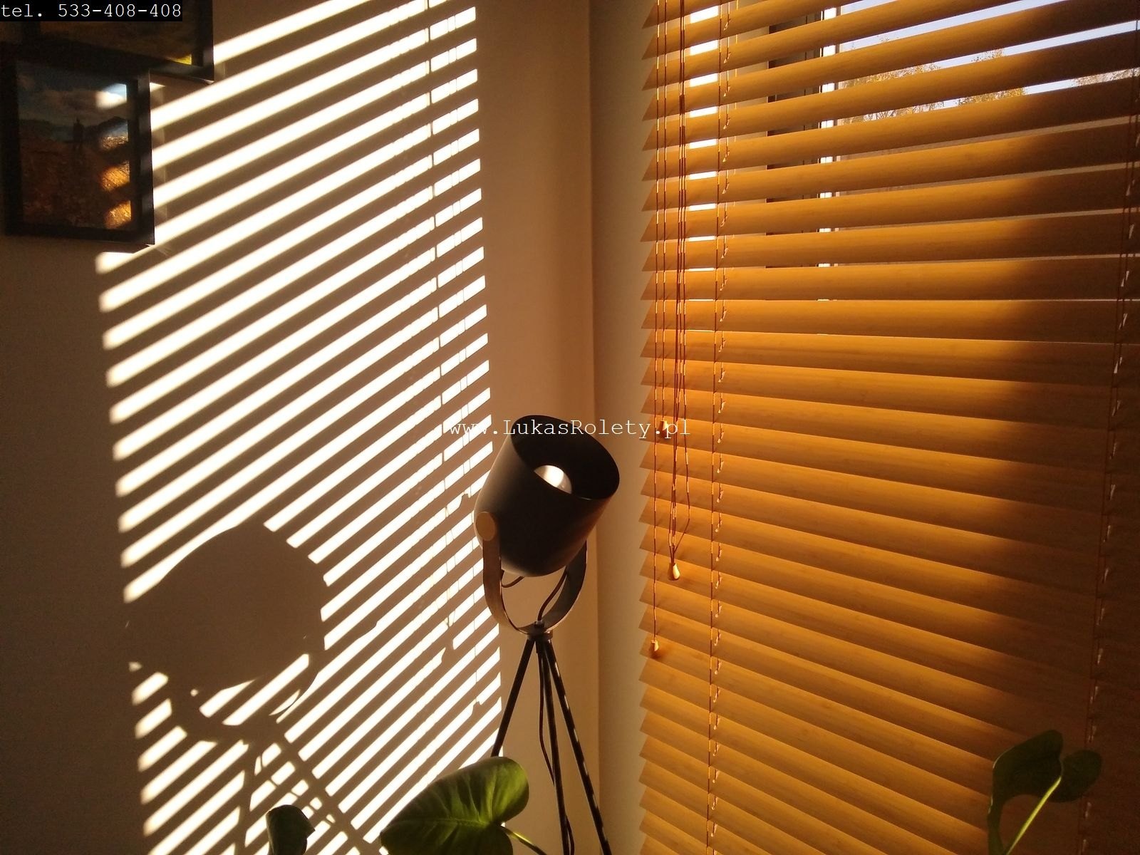 Żaluzje drewniane Łódź