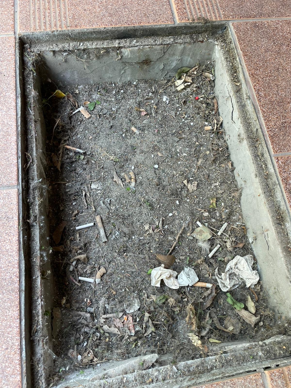 Zanieczyszczona studzienka kanalizacyjna z ziemią, liśćmi, niedopałkami papierosów i resztkami papieru, otoczona chodnikiem z terakoty.