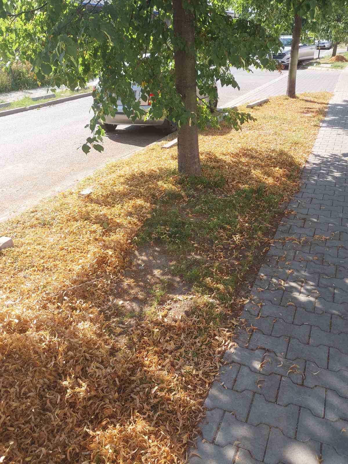 Teren zewnętrzny przed i po