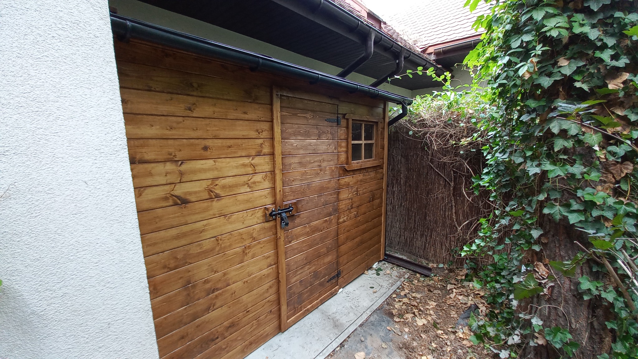 Drewniany budynek gospodarczy z oknem i zasuwa na drzwiach, przylegający do białej ściany i porośniętego bluszczem drzewa.