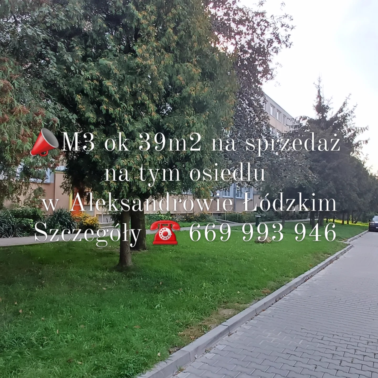 Ogłoszenie sprzedaży mieszkania M3 (39m2) w Aleksandrowie Łódzkim. Na pierwszym planie zieleń osiedlowa, w tle blok mieszkalny. Kontakt: 669 993 946.