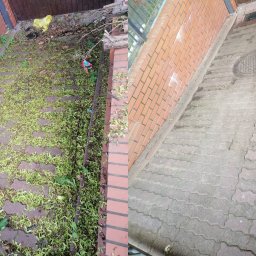 House&Garden K&K Sp z o o - Częściowo oczyszczony, brukowany chodnik z czerwonej kostki, pokryty zielonymi nasionami klonu, widok z góry.