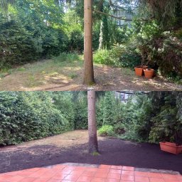 House&Garden K&K Sp z o o - Porównanie stanu trawnika przed i po: zaniedbana trawa z chwastami kontra świeżo przekopana ziemia wokół drzewa, widok z tarasu z czerwonej terakoty.