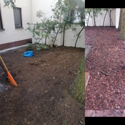 House&Garden K&K Sp z o o - Przygotowanie terenu pod trawnik: grabie i niebieski worek na ziemi obok ściany budynku i drzew, częściowo wyłożony korą.