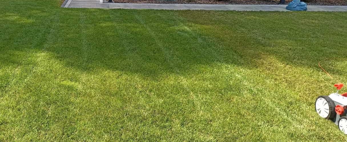 Świeżo skoszony trawnik z widocznymi pasami, w tle chodnik z kostki i worek na śmieci, w prawym dolnym rogu fragment kosiarki elektrycznej.