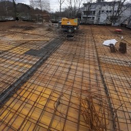 Polina roin shavidze - Fundament Warszawa